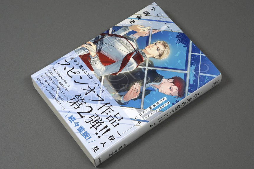 著 小綱実波、イラスト 一夜人見『背中を預けるには 外伝 この恋の涯て
